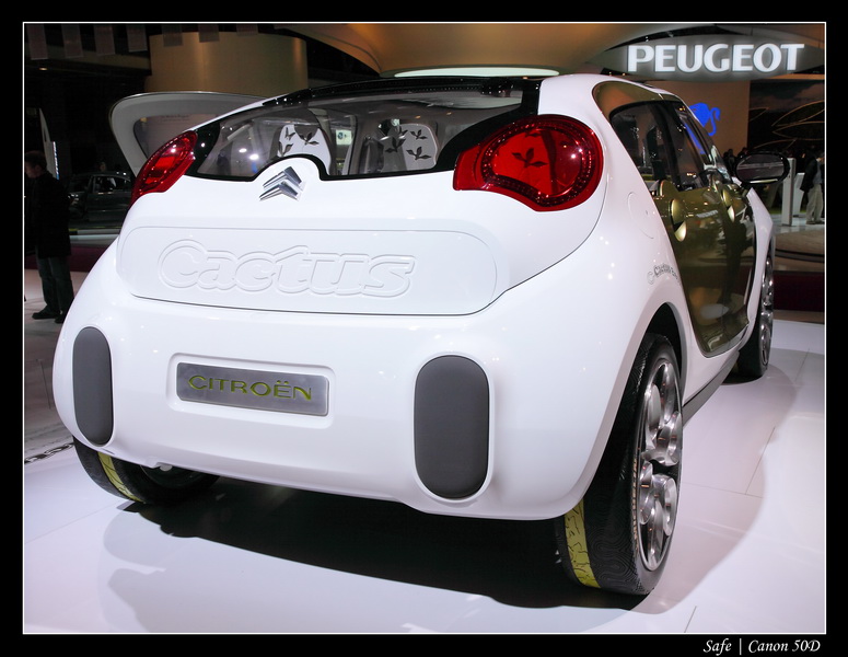 2008   10   Salon auto Paris   166